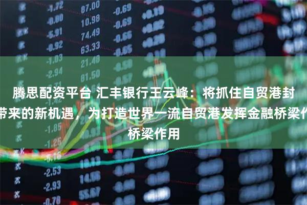 腾思配资平台 汇丰银行王云峰：将抓住自贸港封关带来的新机遇，为打造世界一流自贸港发挥金融桥梁作用