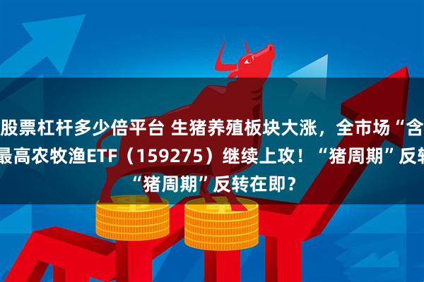 股票杠杆多少倍平台 生猪养殖板块大涨，全市场“含猪量”最高农牧渔ETF（159275）继续上攻！“猪周期”反转在即？